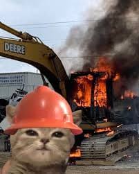 Construction cat